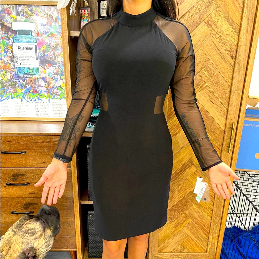 Long Sleeve Mesh Cocktail Dress